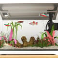 Miniatyrbild 8 av 9: Akvarium, 35x21x31 cm, Vit