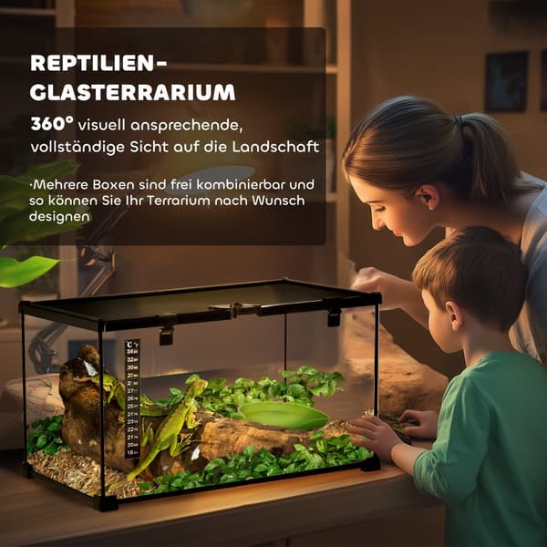 Terrarium, 50x30x25 cm, Svart