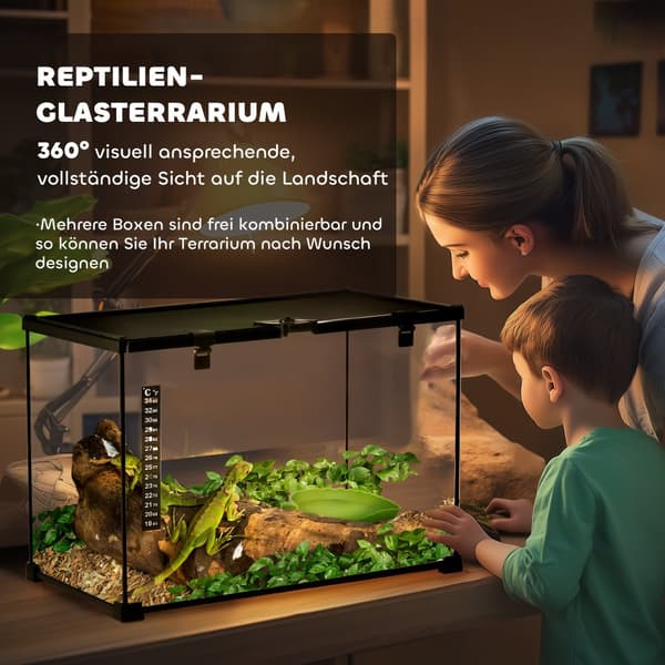 Reptil Terrarium, 50x30x35 cm, Svart