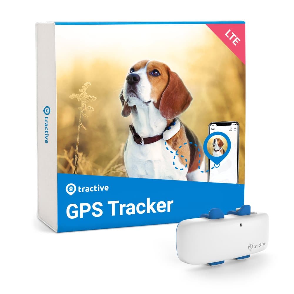 Tractive GPS DOG 4 – hundpejl med platsspårning & Activity Monitoring