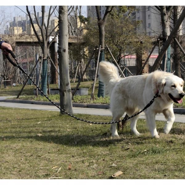Hundkoppel med Reflex och Bajspåsehållare - 5 m