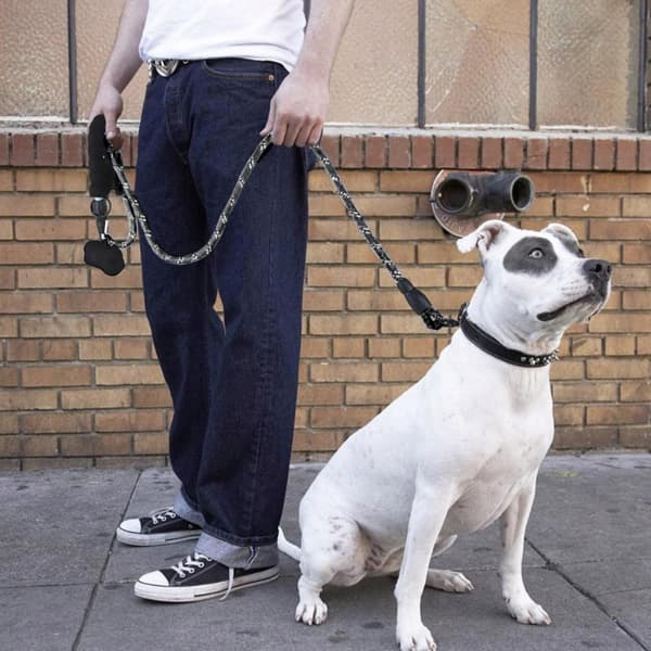 Hundkoppel med Reflex och Bajspåsehållare - 5 m
