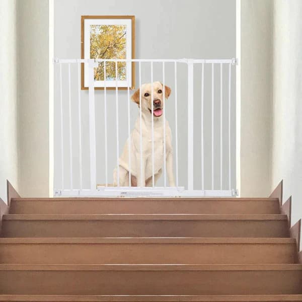 Rootz Pet Safety Gate - Dørport - Trappeport - Hundespærreport - Beskyttende dør - Metal - Hvid - 76-107 x 76 cm