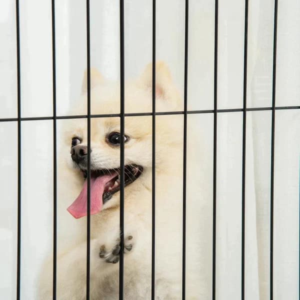 Rootz Pet Gate - Puinen portti - Koiraportti - Turvaportti - Valkoinen - 305 x 35,5 x 82 cm