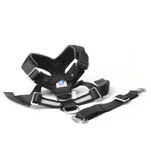 Allsafe Harness Bilsele S Svart