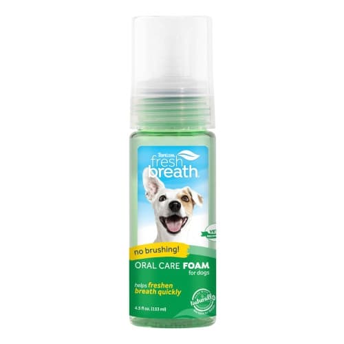 Oral Care Mint Foam 133ml