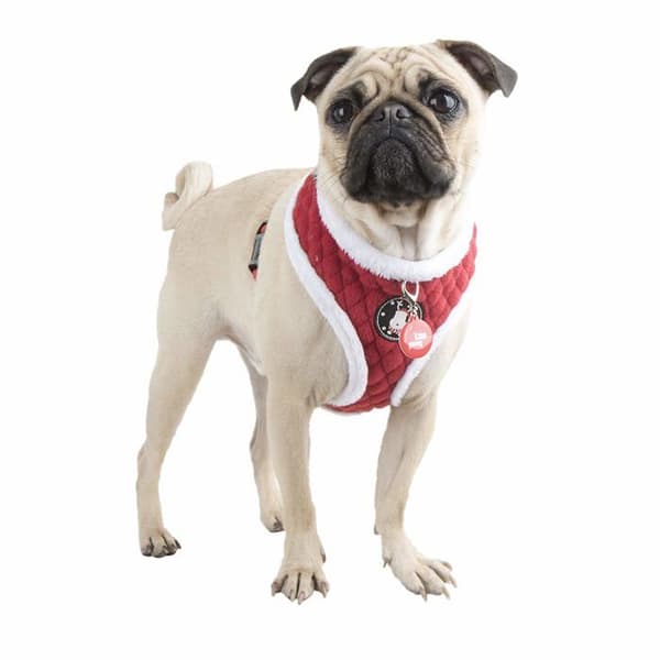 Klädsats - Puppia-tillbehör - PAQD-AC1470-RD-XL - Blitzen Sele A för hundar Röd storlek XL
