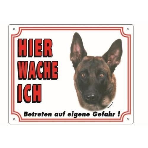 Nobby avskräckande Malinois - 93239