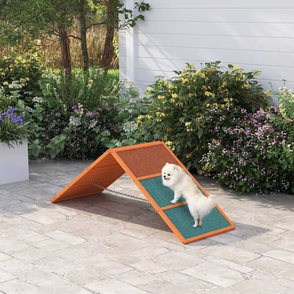 Rootz Agility Dog Ramp - Foldbar og justerbar PET RAMP - Slip Training Equipment - Fir Wood - 173 x 59 x 66 cm - Op til 40 kg - Orange/grøn