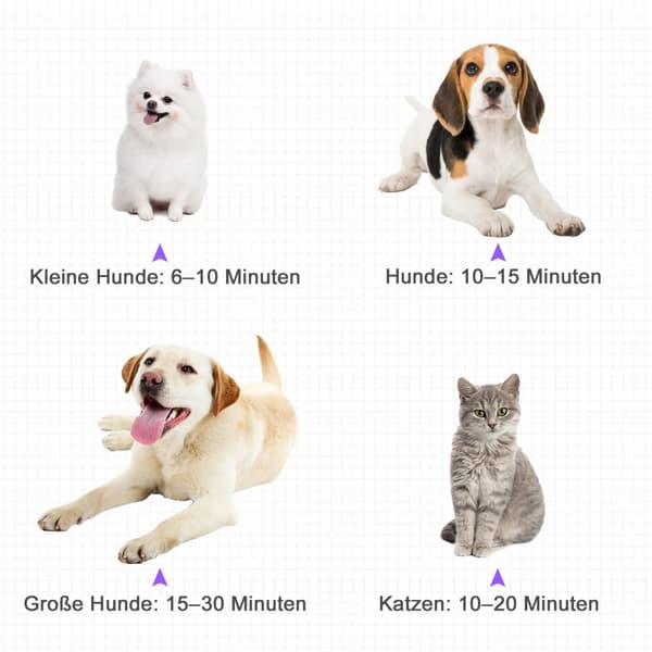 Professionell Hundtork, 2800W, 40x16x20 cm, Svart