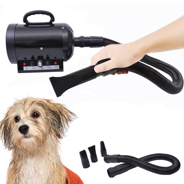 Professionell Hundtork, 2800W, 40x16x20 cm, Svart