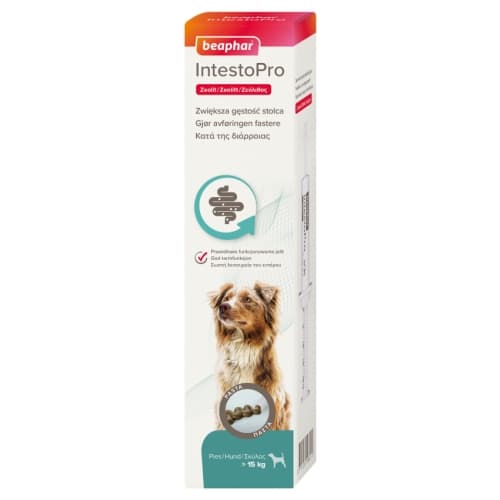 Intestopro Pasta Hund
