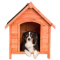 Miniatyrbild 2 av 6: Hundkoja Bailey - brun