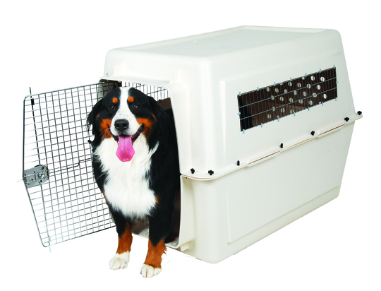 sky vari kennel