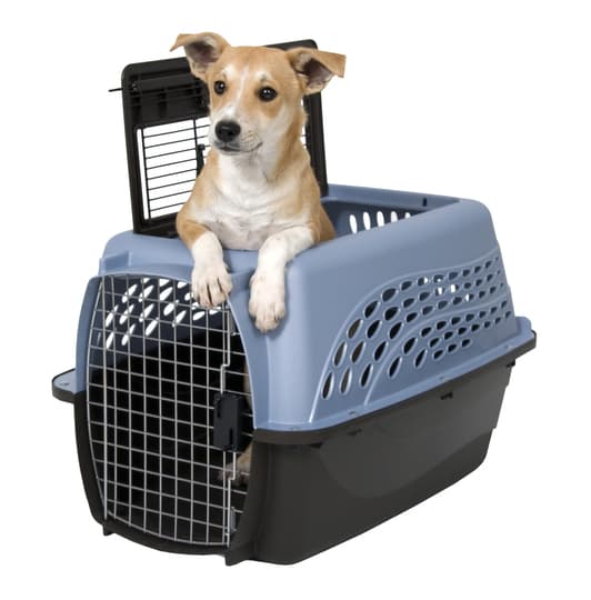 Petmate 2 Door Top Load Kennel Blue - Valmistettu 100% kierrätetyistä materiaaleista ja valmistettu Amerikassa. Mukavuutta ja turvallisuutta sekä koto