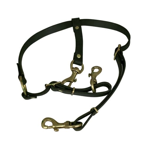 Dog Security Böttcher spårsele