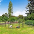 Miniatyrbillede 2 af 5: Rootz Pet kravlegård - Krabbegård til kæledyr - Puppy Gate - Hegn kravlegård - Hunde kravlegård - Hunde indhegning - Stål - Grå - 80W x 60H x 1,5D cm
