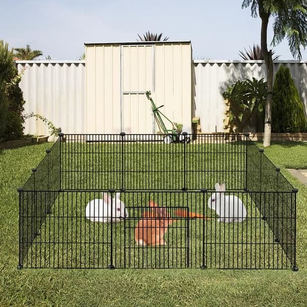 Rabbit Run - LZQ - Marsvinsbur - Svart - Liten - Gnagare