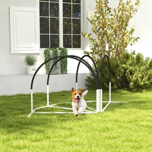 Rootz Dog Agility Sæt - 4 stykker - Hundetræningstilbehør - Bæretaske - U-formet Ground Spike - PE-ABS-oxford - Hvid-sort - 89 x 69 x 99 cm