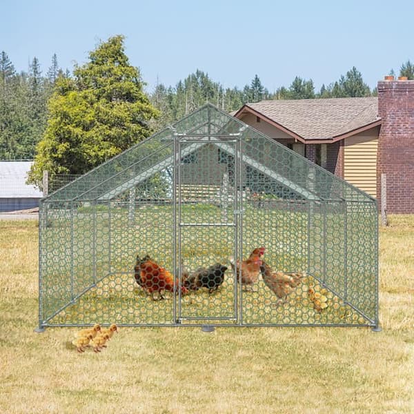 Chicken Coop Utomhushus Galvaniserat stål Smådjurshus med lås för fågelbur Smådjursbur (3x6x2m)