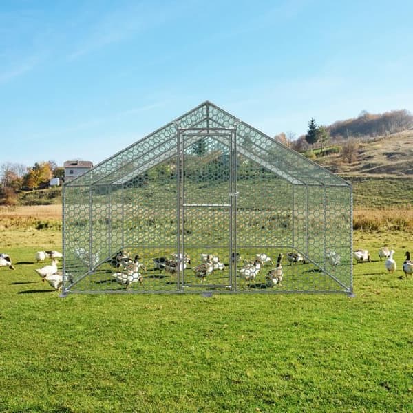 Chicken Coop Utomhushus Galvaniserat stål Smådjurshus med lås för fågelbur Smådjursbur (3x6x2m)