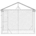 Pikkukuva 4 / 6: The Living Store Koiran ulkohäkki katolla hopea 3x1,5x2,5 m galvanoitu teräs -  Koiranhäkit & aitaukset