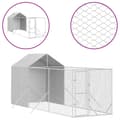 Pikkukuva 3 / 5: Koiranhäkit & aitaukset - Living Koiran ulkohäkki katolla hopea 2x6x2,5 m galvanoitu teräs