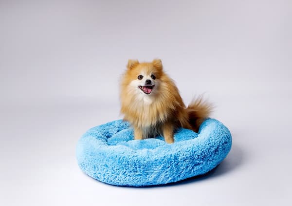 GO GIFT Shaggy blue M - lemmikkipeti - 57 x 57 x 10 cm