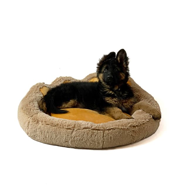GO GIFT Hunde- og katteseng XXL - kamel - 85x85 cm