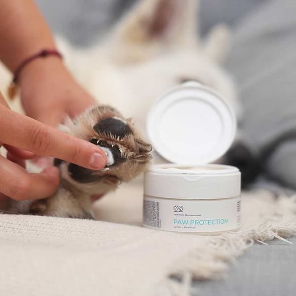 VET EXPERT Potebeskyttelse - beskyttende salve til poter til hunde og katte - 75 ml