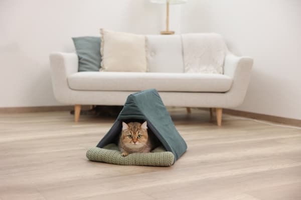 KERBL Anne Cave Green - Lemmikkipedi - 45x40x34 cm