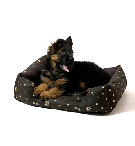 GO GIFT Koiranpeti XXL - ruskea - 90x63x16 cm