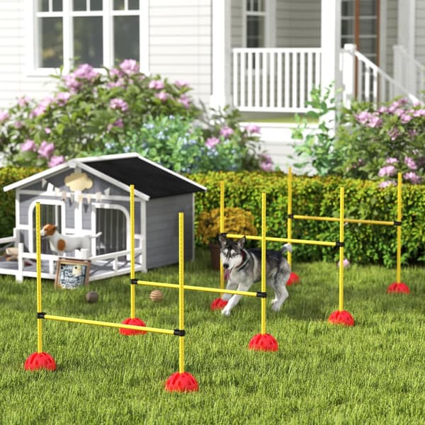 Koiran agilityesteet, 124P x 19,5L x 103K cm, Oranssi ja Keltainen