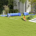 Miniatyrbillede 9 af 9: Dog Agility Sæt, 7er-Set, Hvid+Orange+Blå