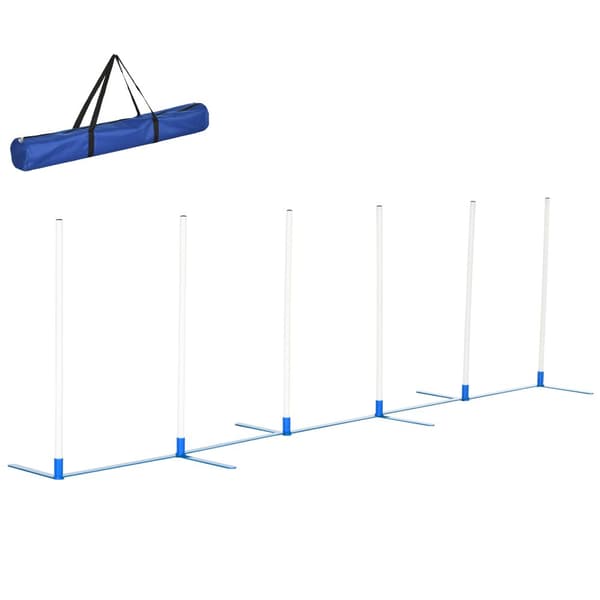 Ketteryysharjoittelusetti, koiran agilityesteet, 305x60x94 cm, valkoinen ja sininen