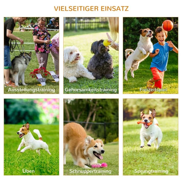 Dog Agility Hurdle Sæt, 128x23x9-100 cm, Gul