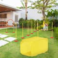 Miniatyrbillede 2 af 9: Dog Agility Hurdle Sæt, 128x23x9-100 cm, Gul