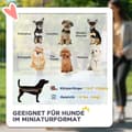 Miniatyrbild 6 av 10: Rootz 3 -i -1 vikbar husdjursvagn - hundbil - djurbärare - hållbart oxford tyg - 76 cm x 50 cm x 102 cm