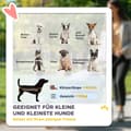 Miniatyrbild 4 av 10: Rootz Dog Car Buggy - husdjurstransportvagn - Fällbar husdjursbärare - Lätt design - 80 cm x 48,5 cm x 106 cm