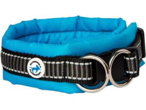 All For Dogs Obroża dla psa niebieska r. L (50-60cm)