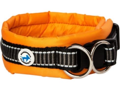 All For Dogs Obroża dla psa pomarańczowa r. L (50-60cm)