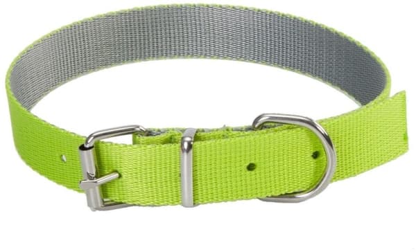 Dingo Energy Silver halsband grön 1.6/40cm