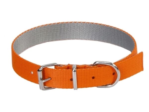 Dingo Energy Silver halsband orange 2.0/50cm