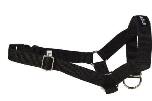 Ami Play Halter Basic L (N4) Labradorinnoutaja 20-37 [a] x 45-60 [s] x 2 cm Czarny