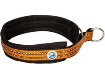 All For Dogs Halvförslutande halsband för hundar orange r 50