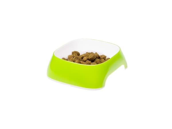 FERPLAST Glam Pieni lemmikkieläinten vesiastia, valko-vihreä
