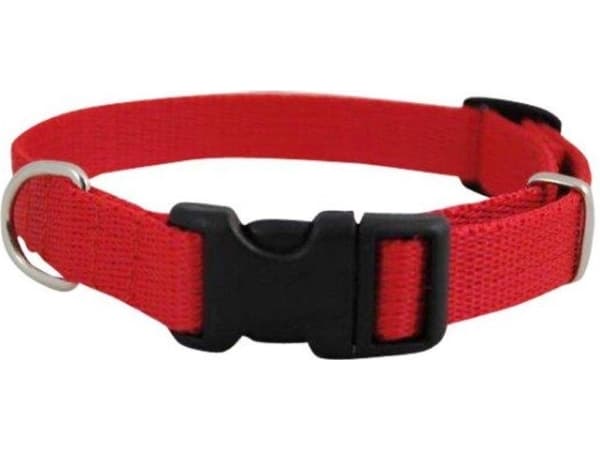 Chaba KORT REG 20mm RÖD