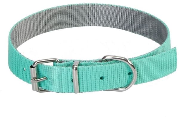 Dingo Collar Energy Silver mint 2,0/50cm