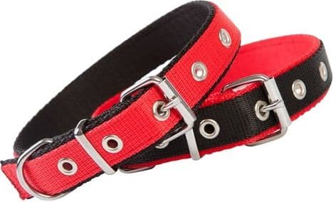 Dingo collar made of double-stitched polypropylene tape, width 2.5 cm, length 50 cm, red and black