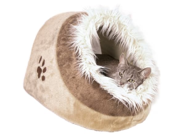 TRIXIE 36282, Nest lemmikkieläinten sänky, sisätiloissa, koira, Beige, ruskea, soikea, pehmeä